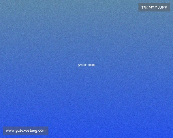 pes2017最高难度